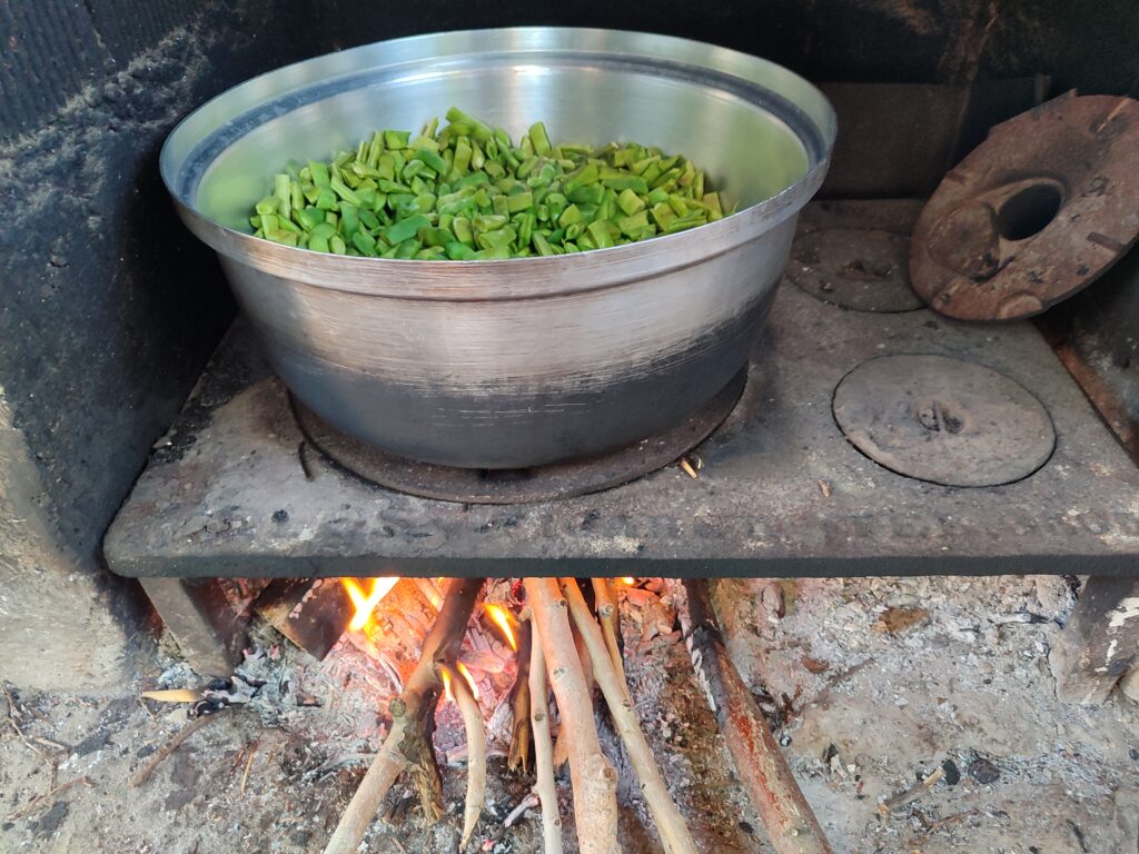 BUZLUK FASULYE